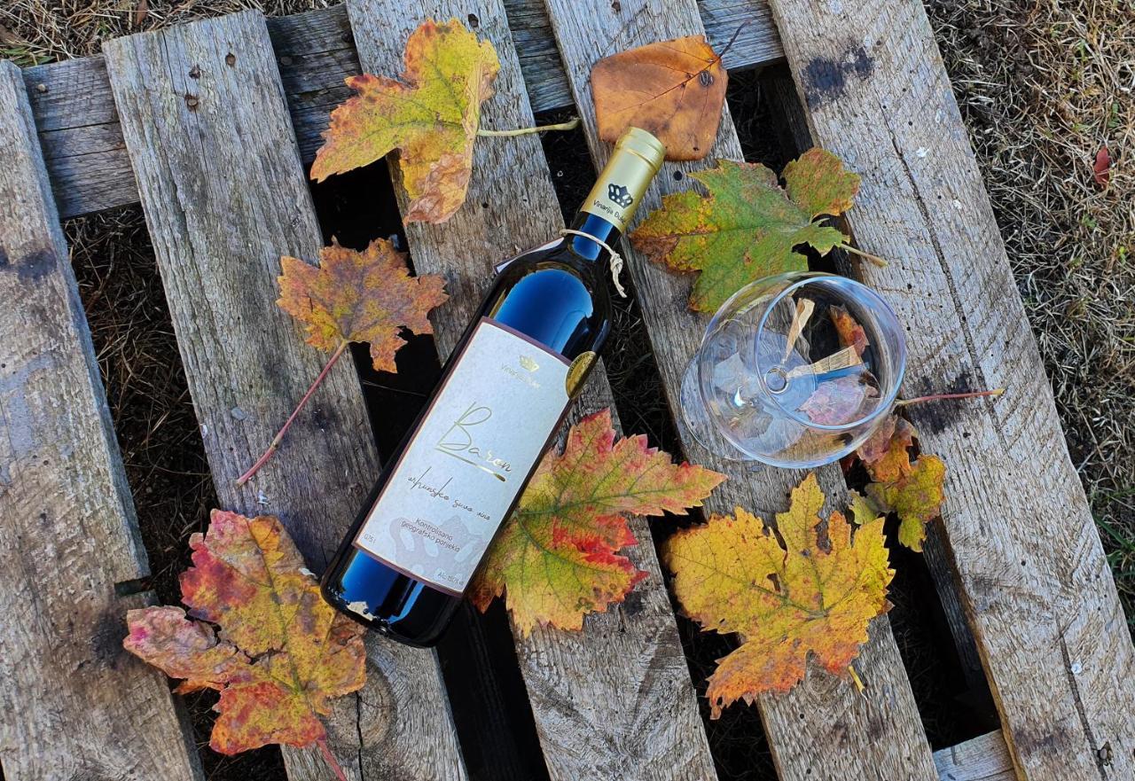 Djukic Winery Lägenhet Podgorica Exteriör bild