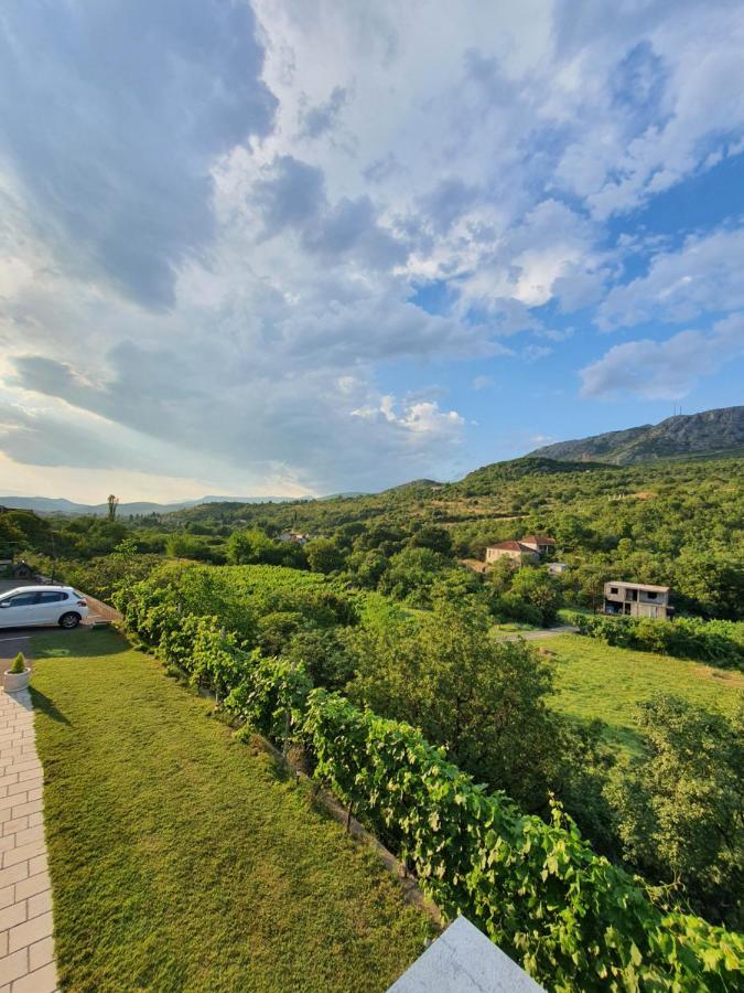 Djukic Winery Lägenhet Podgorica Exteriör bild