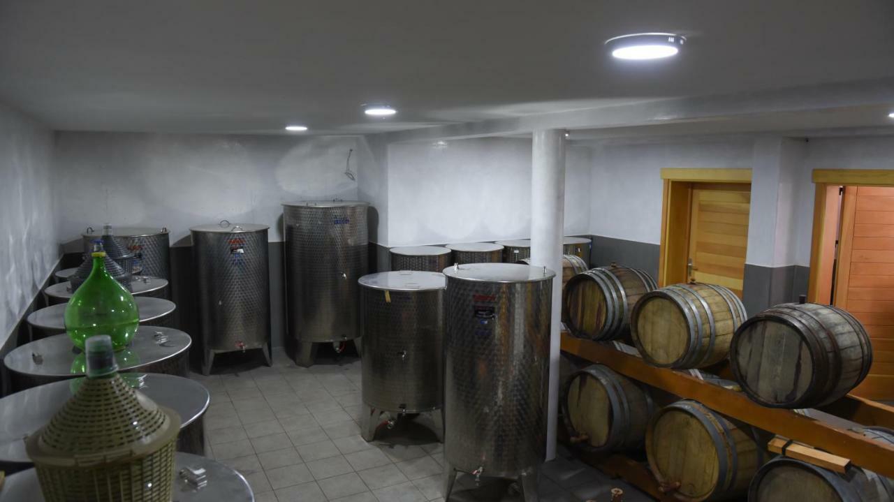 Djukic Winery Lägenhet Podgorica Exteriör bild
