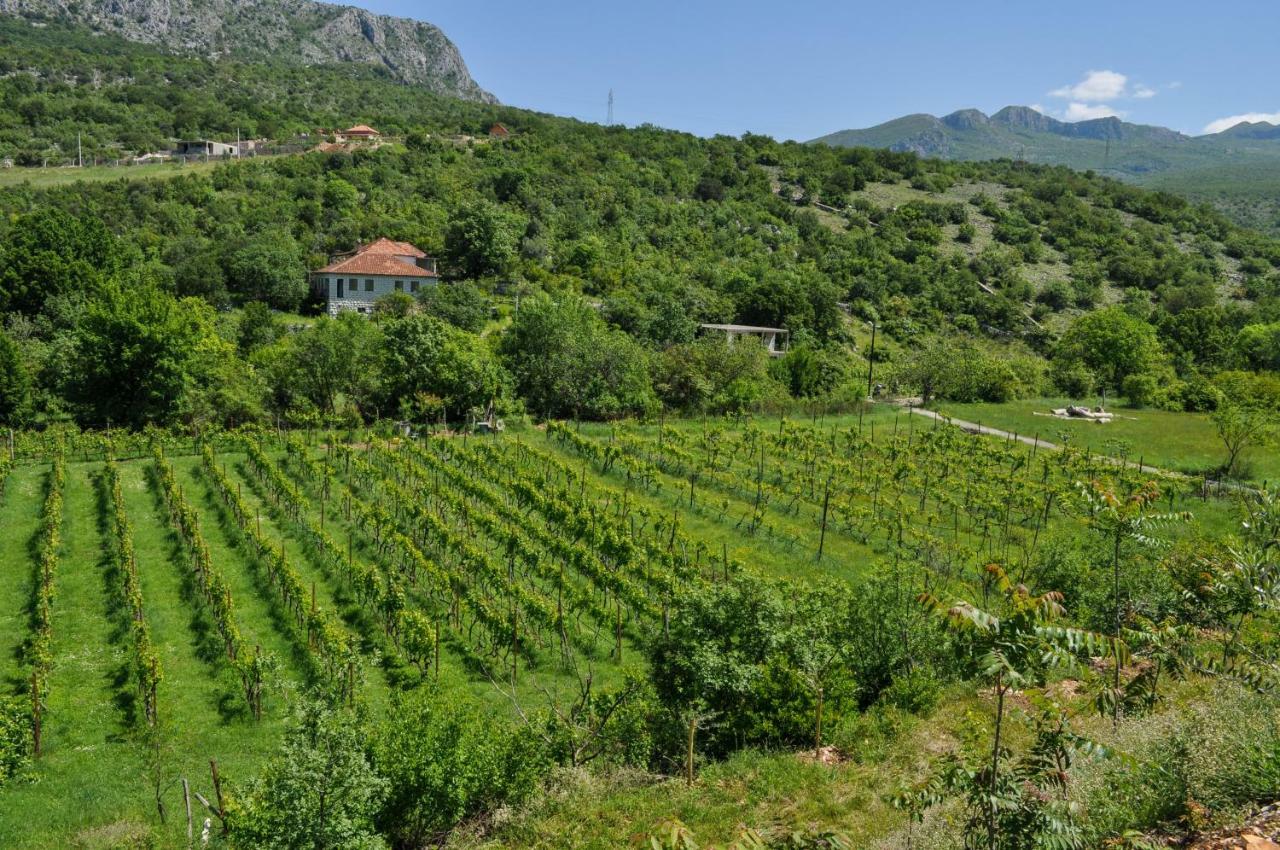 Djukic Winery Lägenhet Podgorica Exteriör bild